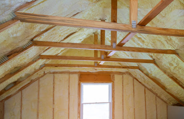 Best Types of Insulation in Catahou, LA