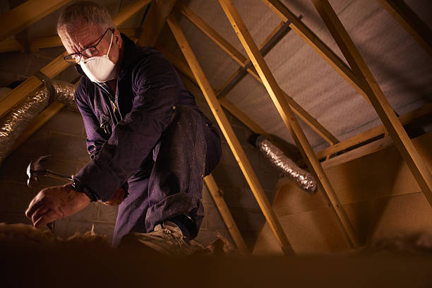 Best Insulation Maintenance and Repair in Catahou, LA