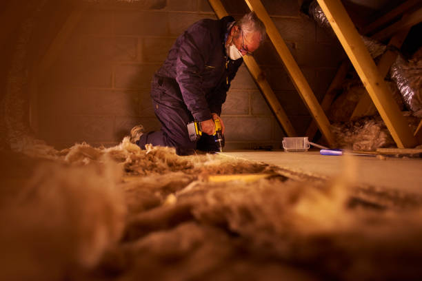 Types of Insulation We Offer in LA